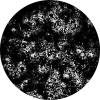 MCMV (Mouse Cytomegalovirus) unstained Icon