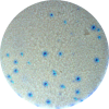Elispot in 384 well microfilter plates Icon