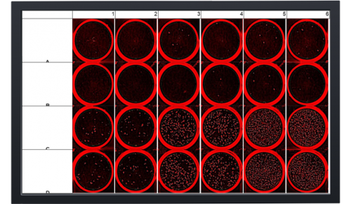 biocreader_7000_fzi_software.png