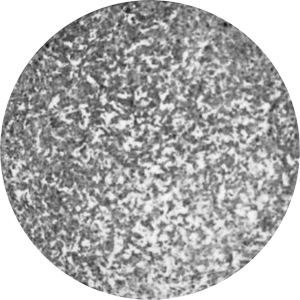 Application AEC graylevels