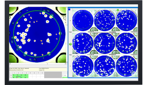 biocreader_7000_v_software.png