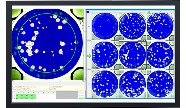biocreader_7000_v_software.png