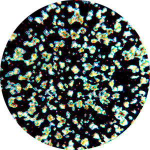 Application Organoids