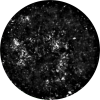 Unstained cells Icon